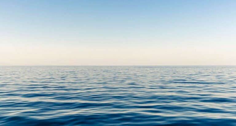 L’effet « espace bleu » protège des troubles cognitifs