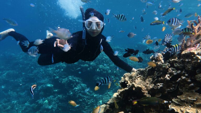 « One Health Underwater »